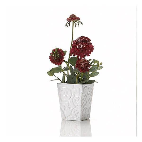 Arrangement Basis "Weiße Arabesque (weiße Arabeske) Weiß 170-382"