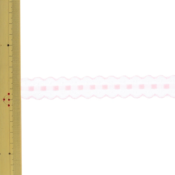 【数量5から】 手芸テープ 『エンブリボン 011番色 144-723-011』 DARIN ダリン
