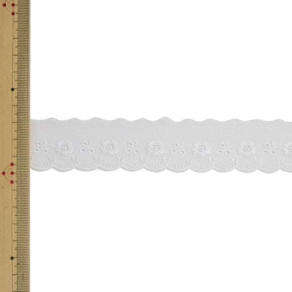 【数量5から】 レースリボンテープ 『コットンレース 6879K 00番色』 MOKUBA 木馬