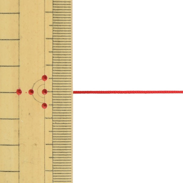 手芸ひも 『ファインヤーン 2束入り #22』 INAZUMA イナズマ