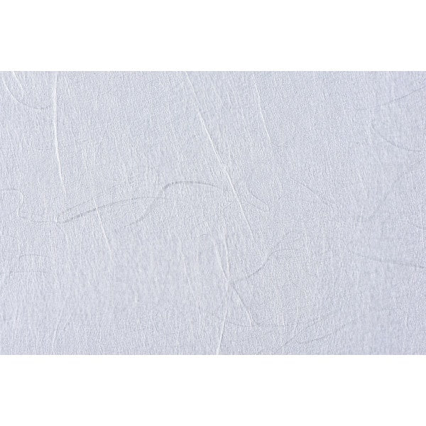 흐린 종이 "Rayon Kunryu White"