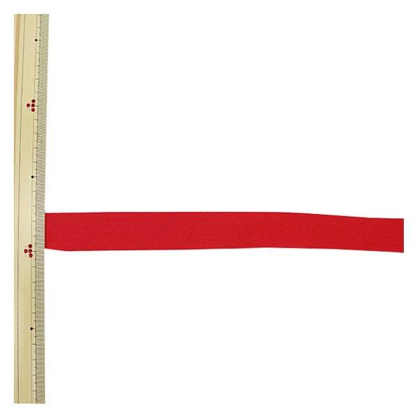 【数量5から】 手芸テープ 『ポリエステル 杉綾テープ 幅2.5cm 22番色 137-50202225』 DARIN ダリン