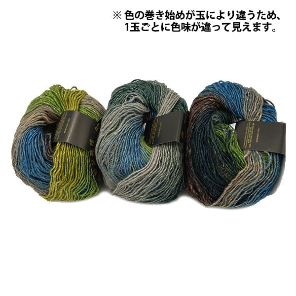 Autunno e invernoFilato "Silk Gar den fine 1203 Color" Noro Hideaku Noro