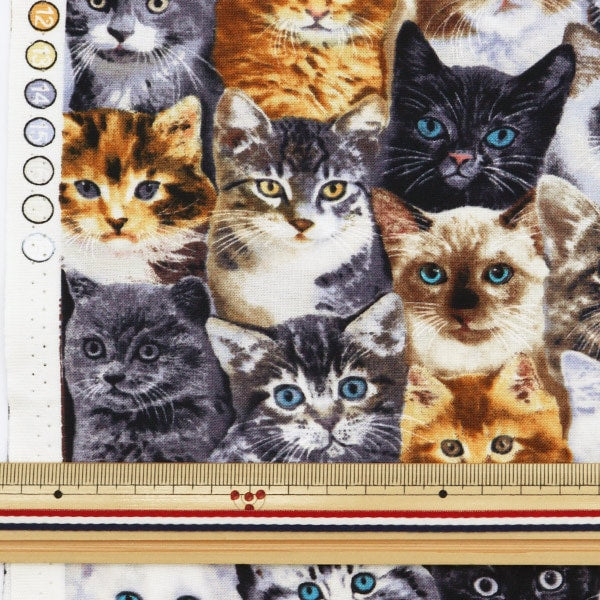 【数量5から】 生地 『インクジェットプリント ねこ C8417-MULTI』 USAコットン