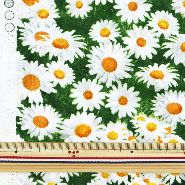 【数量5から】 生地 『インクジェットプリント デイジー C7471-MULTI』 USAコットン