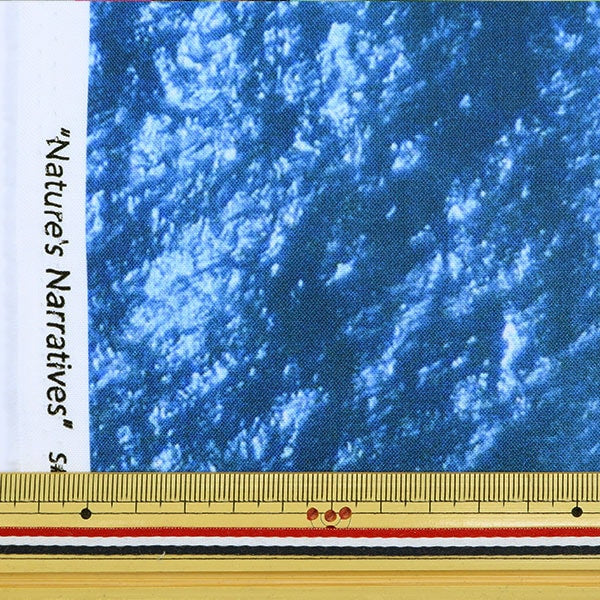 【数量5から】 生地 『インクジェットプリント 海洋 R4668-73』 USAコットン