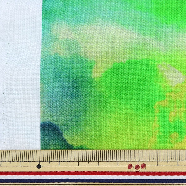 【数量5から】 生地 『インクジェットプリント ラジカルレインボー S4825-181』 USAコットン