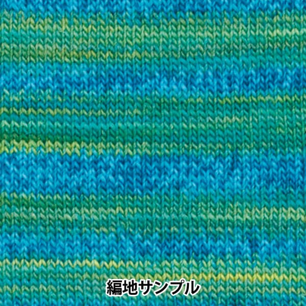 가을과 겨울털실 "메이크업 메이크업 1005 번째 컬러" Olympus