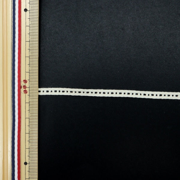 【数量5から】 綿レース 『オーガニックコットン ストレッチトーション2021 生成り 24397S-6』