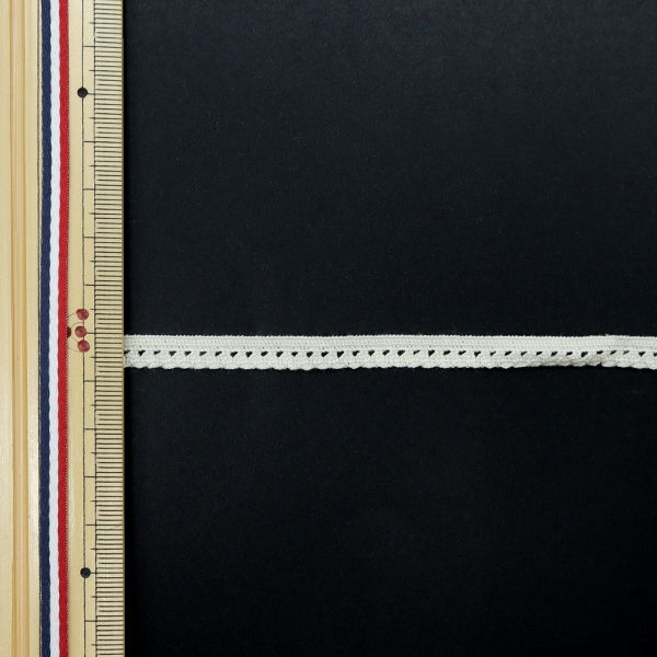 【数量5から】 綿レース 『オーガニックコットン ストレッチトーション2021 生成り 24399S-6』