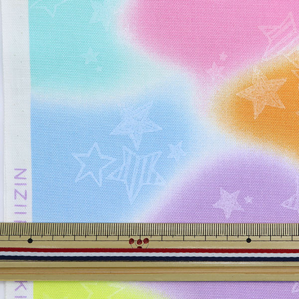 【数量5から】 生地 『オックスプリント カラフルエアー SO-45000-2B』