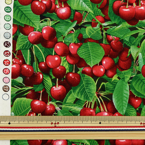 【数量5から】 生地 『USAコットン ベリー・グッド チェリー柄 508-GREEN』