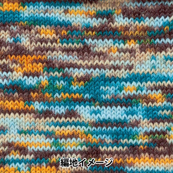 가을과 겨울털실 "RAPX Multicolor 504 번째 색상" Hamanaka