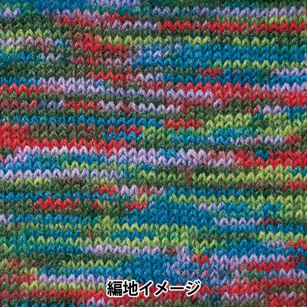 가을과 겨울털실 "RAPX Multicolor 505 번째 색상" Hamanaka