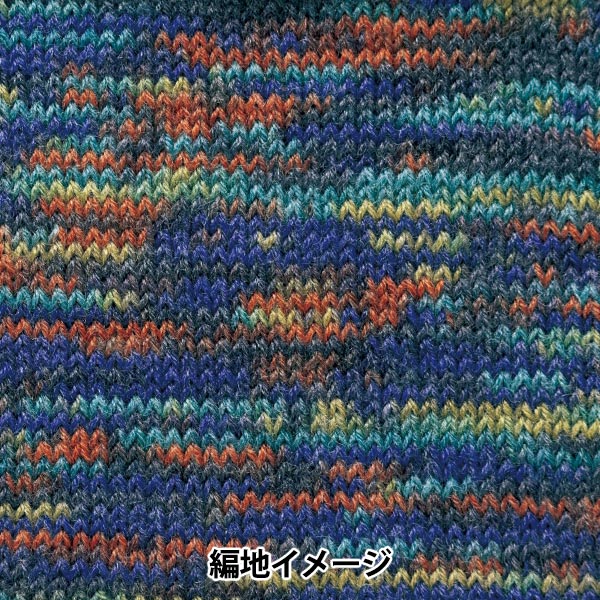 가을과 겨울털실 "RAPX Multicolor 507 번째 색상" Hamanaka