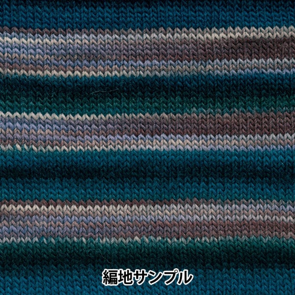 Autunno e invernoFilato "Waby (gradazione) ottavo colore" Hamanaka