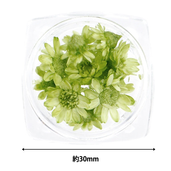 레진소재 "스타 꽃 녹색"