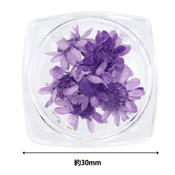 Harzmaterial "Sternblume Violett"