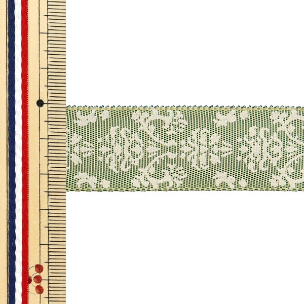 【数量5から】 リボン 『ブリクソン(ワイヤー入り) 幅約2.5cm 45番色』 AOYAMARIBBON 青山リボン