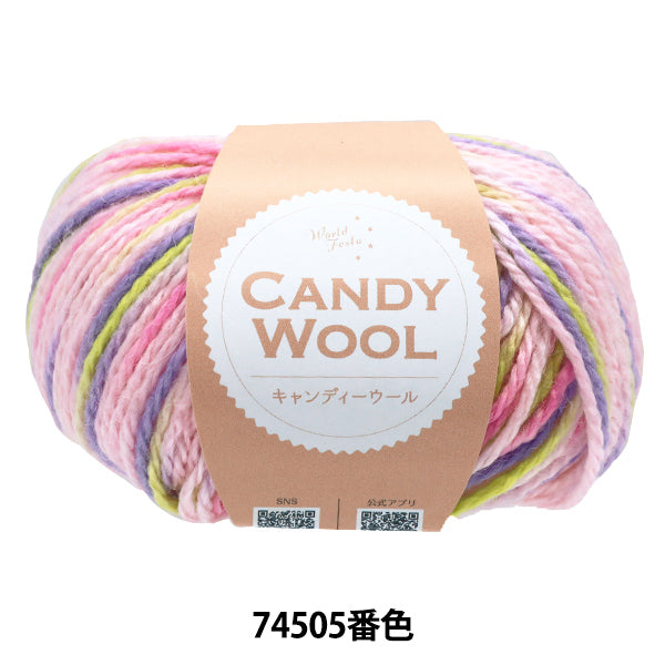 Candy Wool No.74505 Yarn| World Festa – Yuzawaya