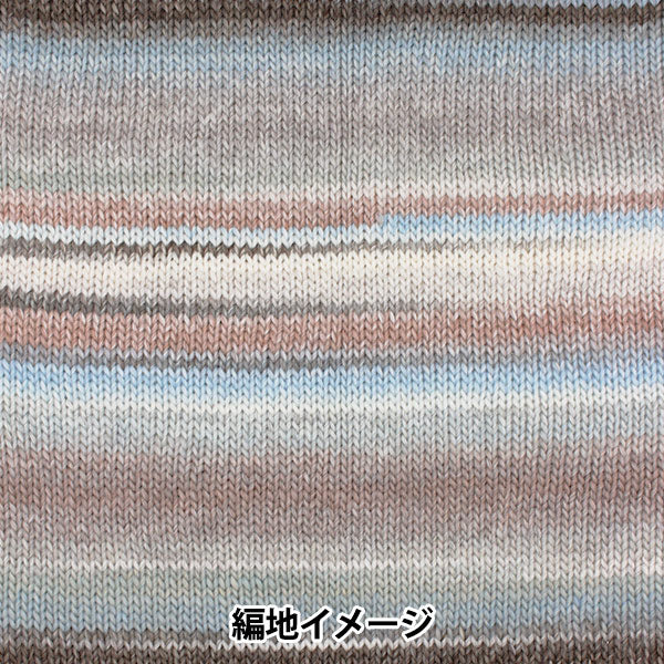 Herbst und WinterGarn "Piecho 701 Farbe" Skiyarn Skigarn