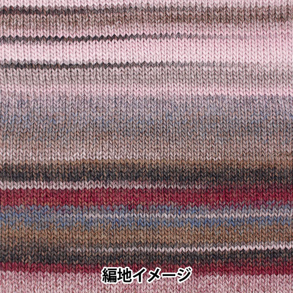 Automne et hiverpelote de laine "Tarte -shot 702 couleur" skiarn ski yarn