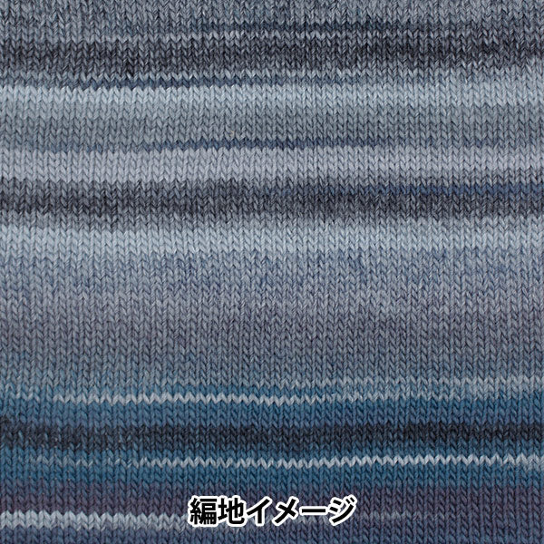 Herbst und WinterGarn "Piecho 706. Farbe" Skiyarn Skigarn