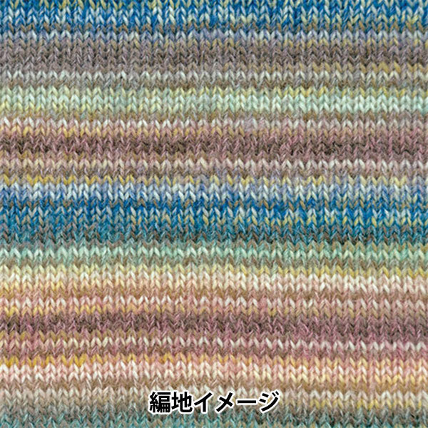 Autunno e invernoFilato "Dina 23rd Color" Hamanaka