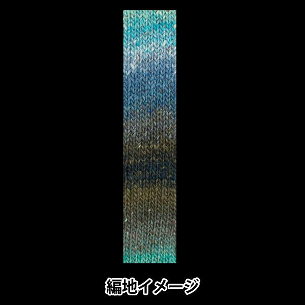 Fall/WinterYarn "Silk Garden Color 524" NORO Noro Eisaku