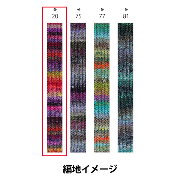 Fall and winterYarn "Inito 20th color" Noro Hideyaku Noro