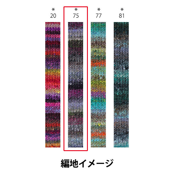 Осень и зимаПряжа "Iko 75th Color" норо Hideaku Noro