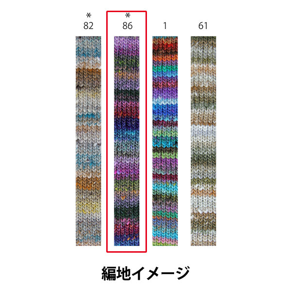 Fall and winterYarn "Inito 86th color" Noro Hideyaku Noro