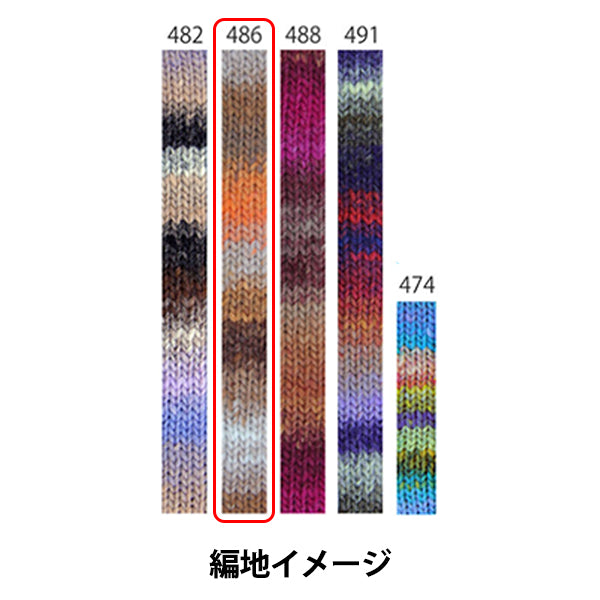 Herbst/WinterGarn „Kureyon Farbe 486“ NORO Eisaku Noro