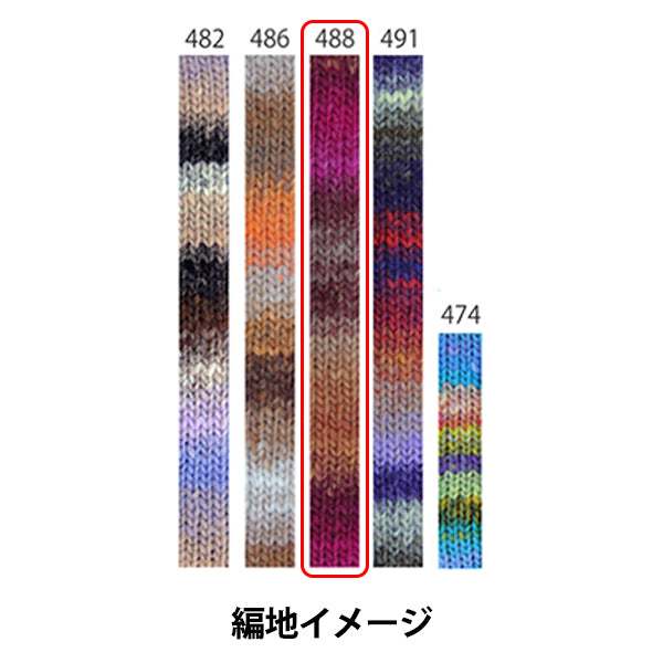 Herbst/WinterGarn „Kureyon Farbe 488“ NORO Eisaku Noro