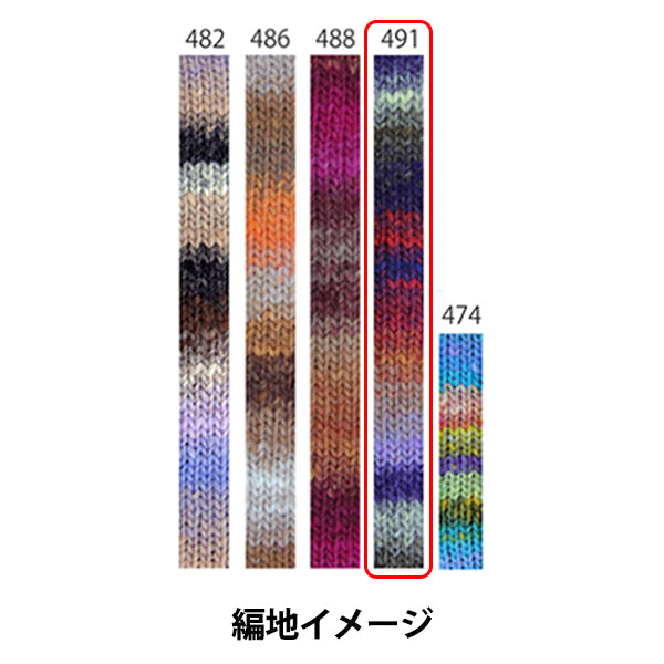 الخريف/الشتاءخيوط الغزل "كوريون كولور 491" نورو إيساكو نورو