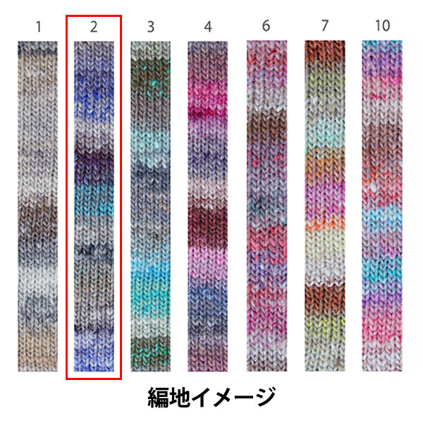 가을/겨울털실 "Rise of Winter, No. 2"Noro Noro Hidesaku