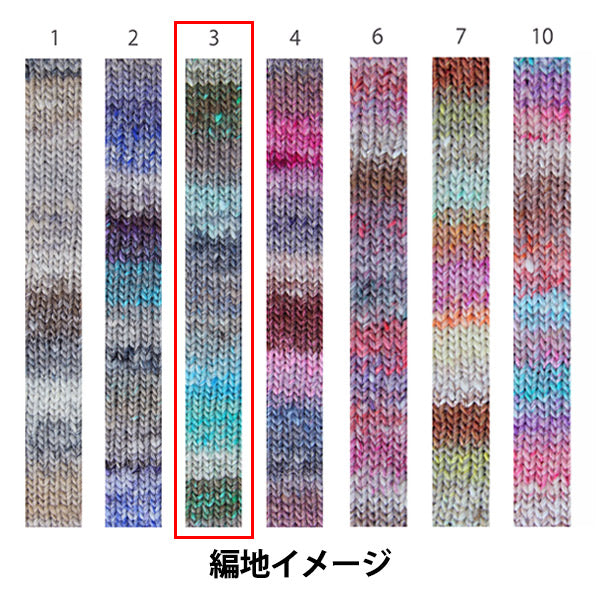 Autunno/invernoFilato "Rise of Winter, n. 3" Noro Nora Hidesaku