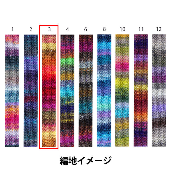 Fall/WinterYarn "Saiun, Color 3" NORO Noro Hidesaku