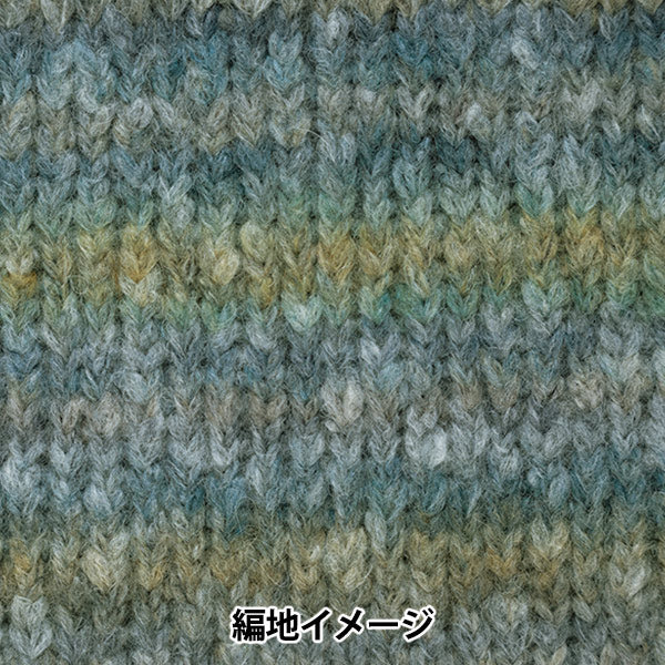 Herbst und WinterGarn "Theatre 2nd Color" Richmore Rich More