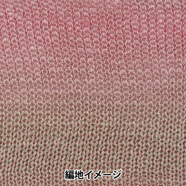 봄 / 여름털실 "Ecaud Paris 6th Color"Richmore Rich