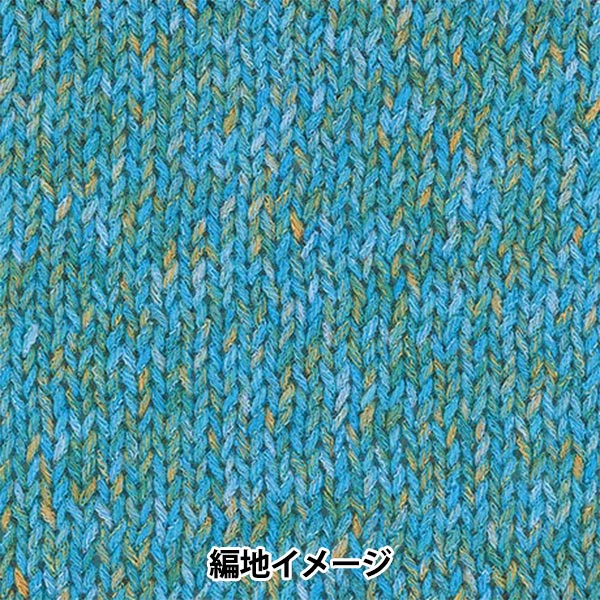 Spring/SummerYarn "Hosunyuki, color 3" Rich More