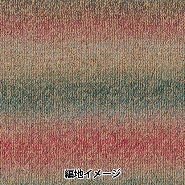 Automne / hiverpelote de laine "Baccarat Crochet Color 407" Rich More