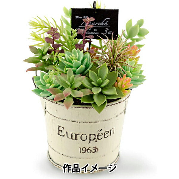 طين راتنجي “مودينا 60 جم 303117” باديكو