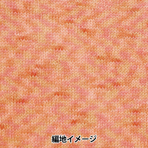 Autunno e invernoFilato "Hamanaka Mohair colorato 223 Colore" Hamanaka