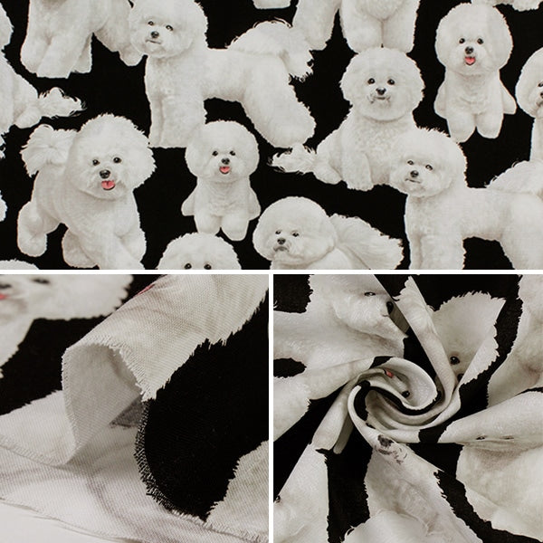 【数量5から】 生地 『インクジェットプリント ビジョンフリーゼ GM-C7526』 USAコットン