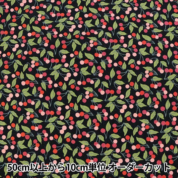 数量5から】 生地 『LIBERTY リバティプリント ナイロンオックス