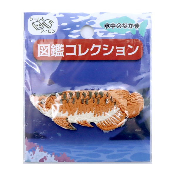 ワッペン 『図鑑コレクション アロワナ ZCW-03』