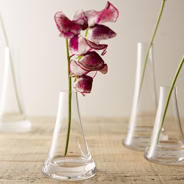 Angeordnete Basis "Fuji Clear 777-820-000"