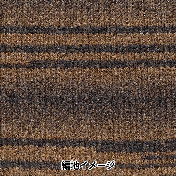 Herbst und WinterGarn "Andnes 8th Color" Richmore Rich More