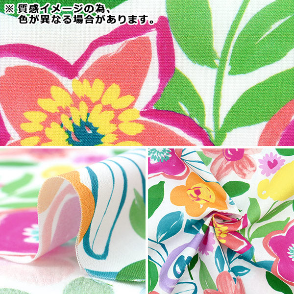 【数量5から】 生地 『USAコットン グローイング・フラワー ティール DCX9947-TEAL』